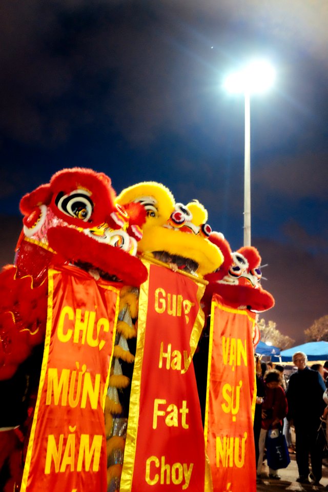 Tet in SD (5 of 20)