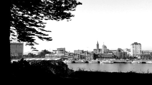B&W Valdivia