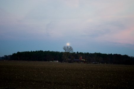 Moon Raising