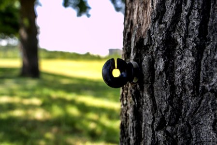 Tree Hook