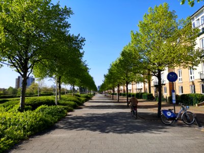 Lloyd George Avenue, Cardiff photo