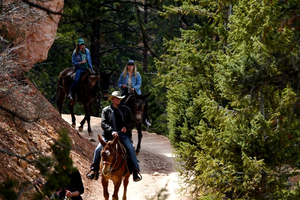 Horseback rides on the Peekaboo Loop