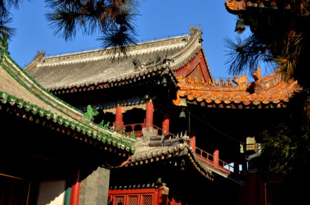 Beijing,Lama Temple-DSC 9708p photo