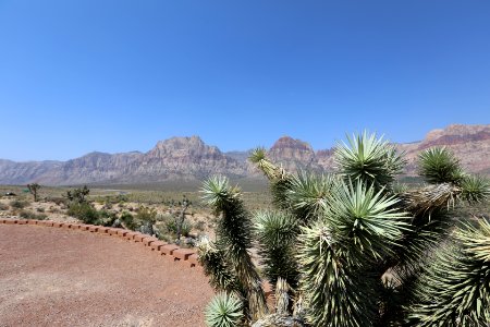Las Vegas Driving Tour (2017)