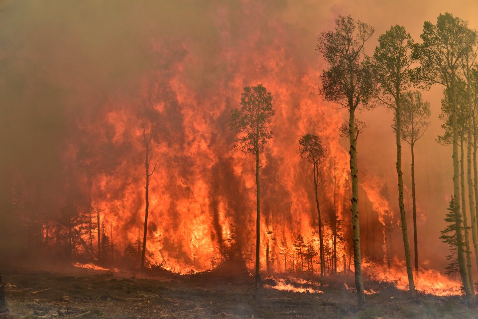 Prescribed burn at Manning Creek