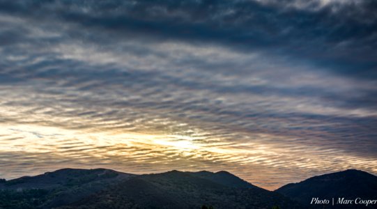 Liquid Sky photo