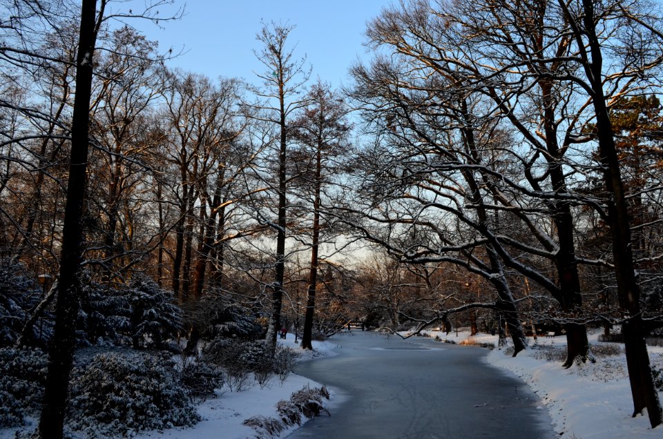 Frozen Horizon
