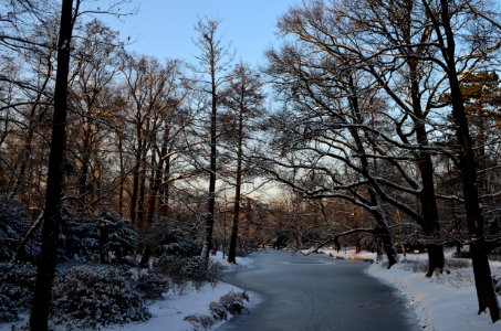Frozen Horizon
