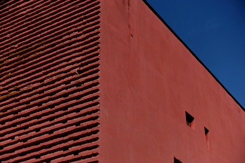 DSC06510