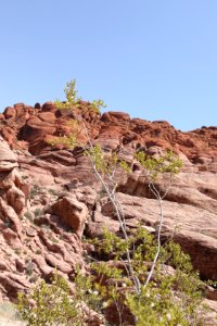 Las Vegas Driving Tour (2017)