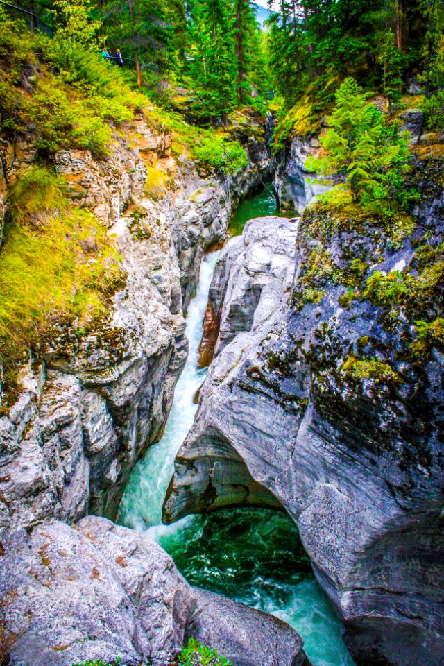 Edith Cavell Canyon