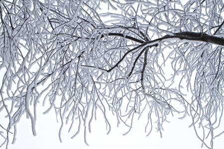 Cold landscape ice photo