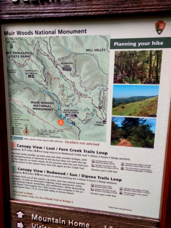 The Muir Woods Maps