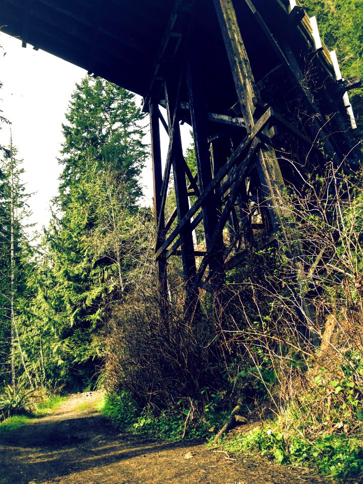 Under the Fairfax Bridge
