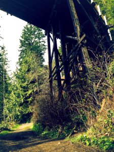 Under the Fairfax Bridge