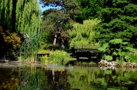 Ogród Botaniczny, Wrocław, Poland