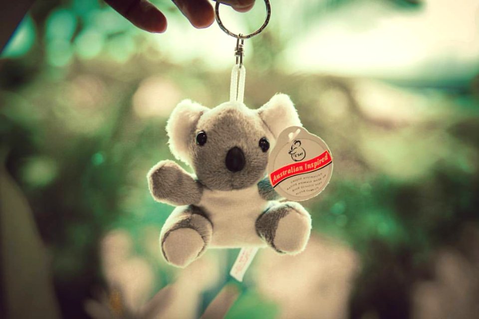 A special gift!! :"3   #buddybuddyteam #gift #thankyou #akoala