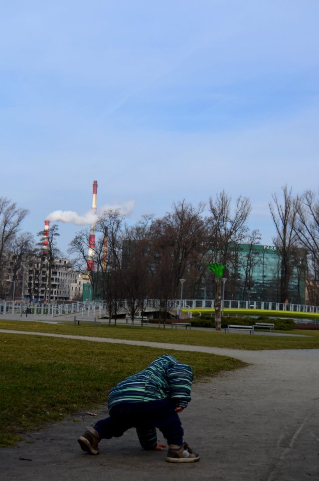 The Playground