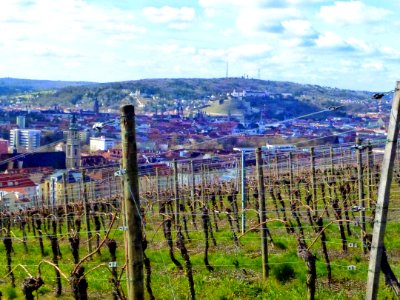 Würzburg - Spring 2015