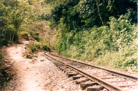 Camino a Aguas calientes