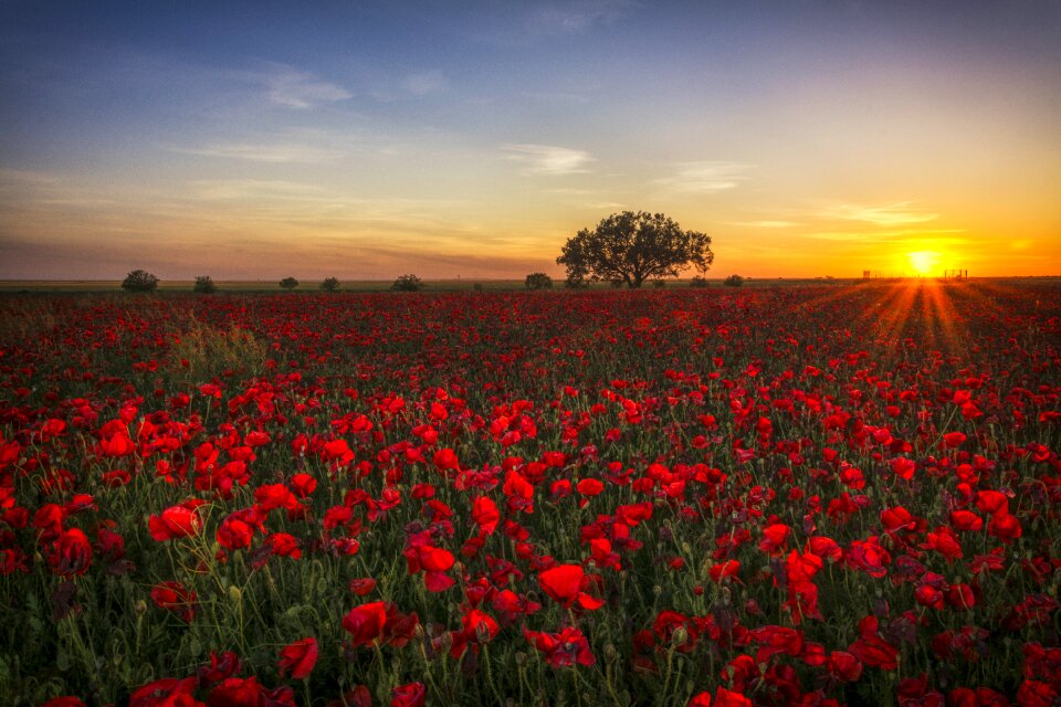 Clouds red sun twilight