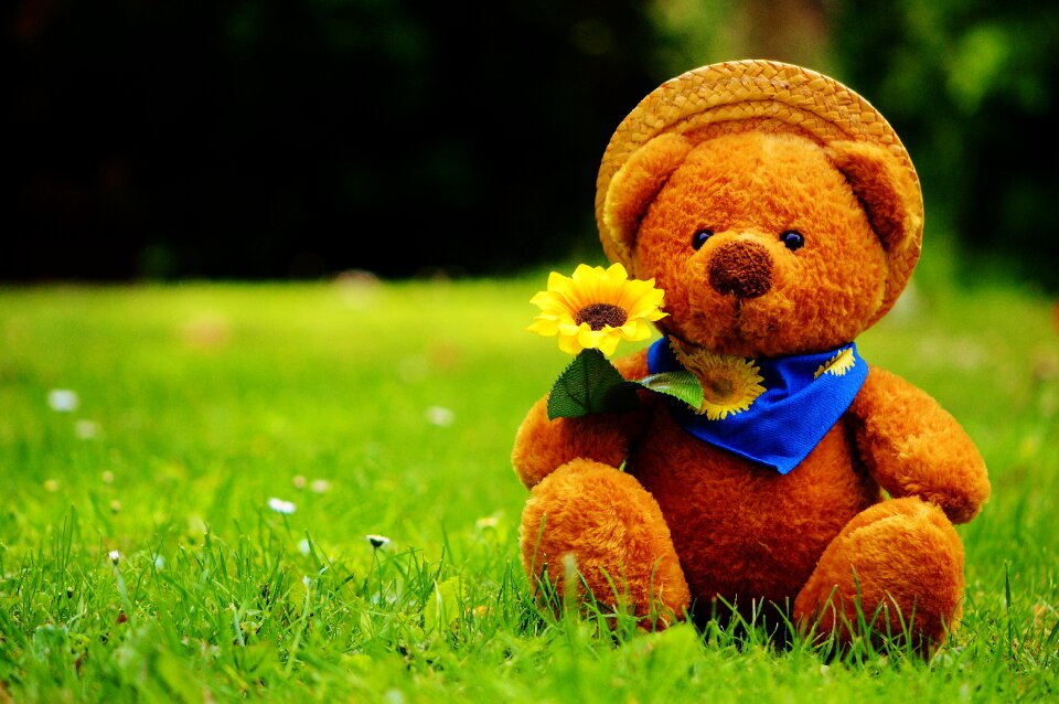 Stuffed animal teddy cute
