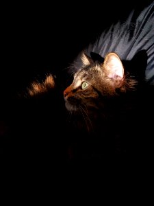 IMG 20160320 154020