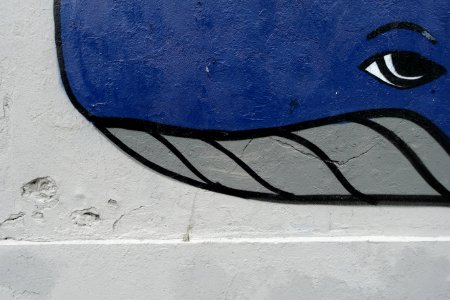 DSC06365