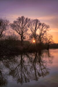 Trees sunset atmospheric photo