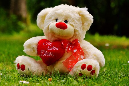 Bear greeting card bears