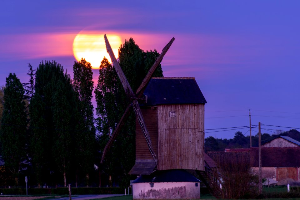 lune rose - Pink moon - rosa Mond