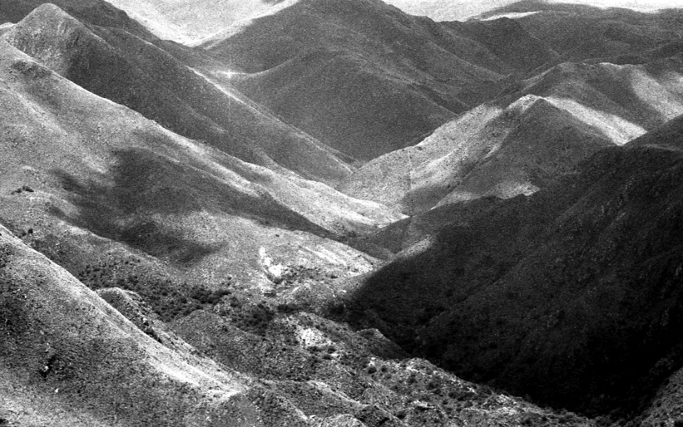 KodakTMX100+1-marzo 001