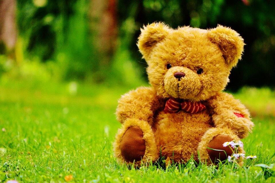 Stuffed animal teddy cute