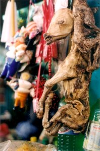 Mercado de Trujillo