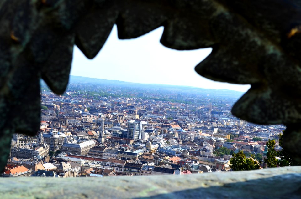 Budapest Dragon