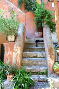 Rome