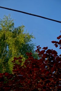 DSC04042