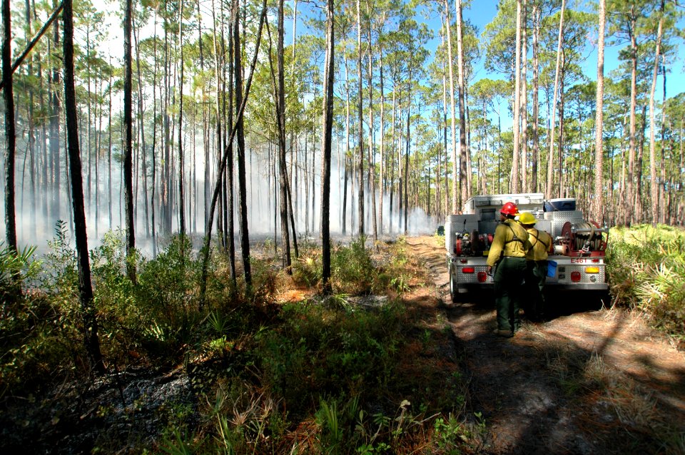 20111106-FS-Osceola-SB-012