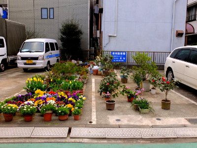Better use of a car park - park your plants! photo