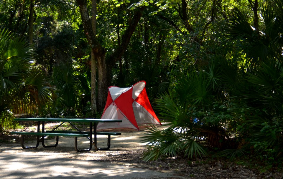 20150618-FS-Ocala-SB-013