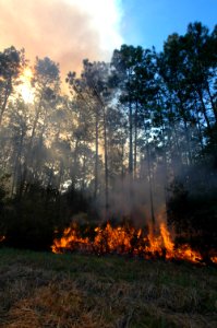 20111106-FS-Osceola-SB-030