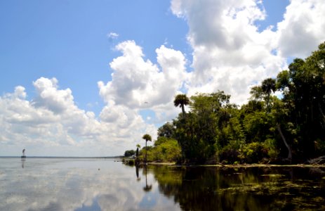 St. John's River