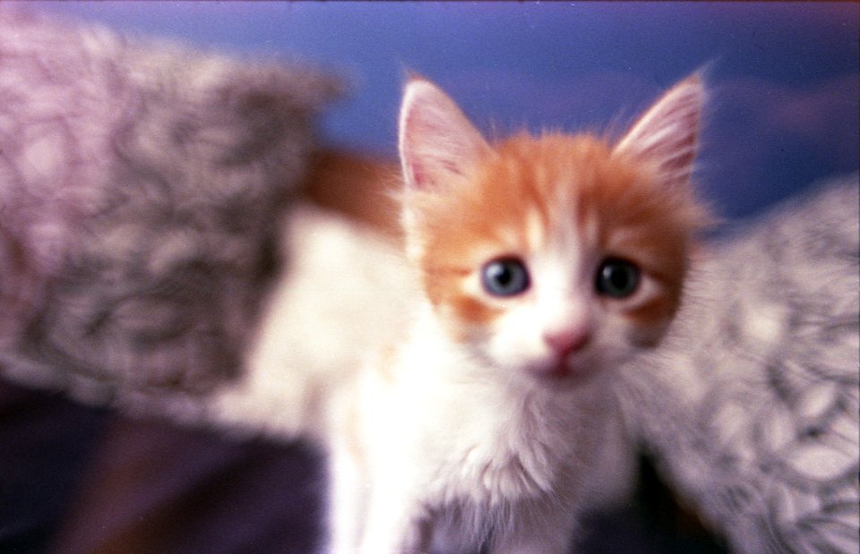 Ariel fujifilm200 010