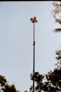 Voladores, Chapultepec, México