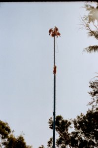 Voladores, Chapultepec, México photo