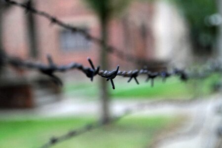 Camp memorial fence photo