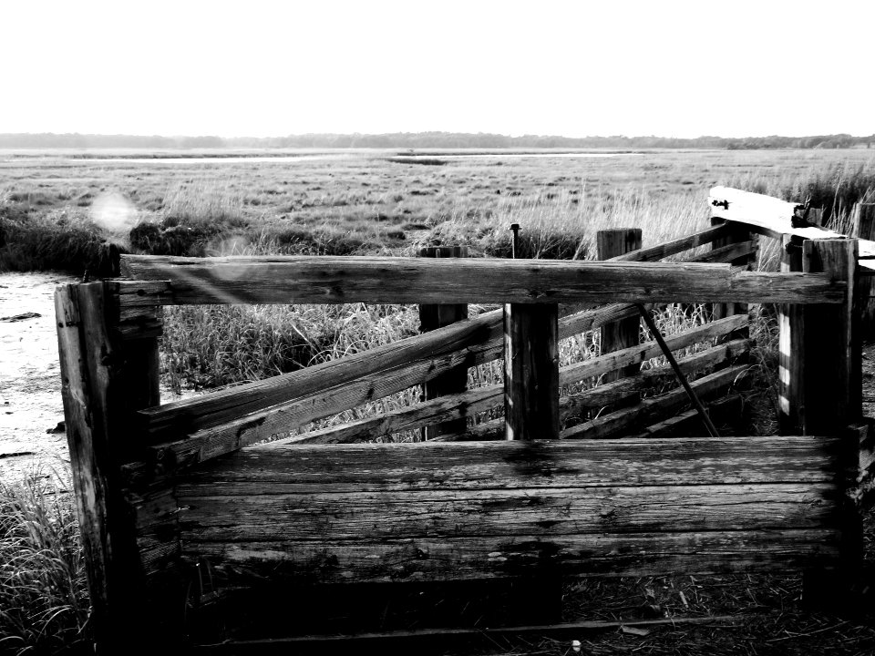 disrepair