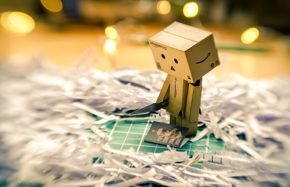 Danbo v Papercraft. photo