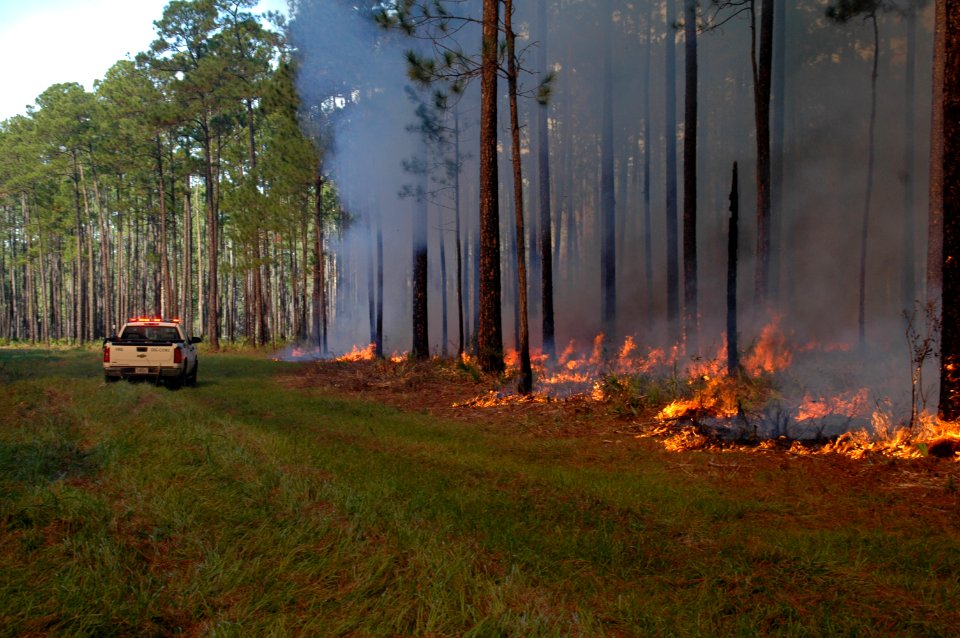 20111106-FS-Osceola-SB-032