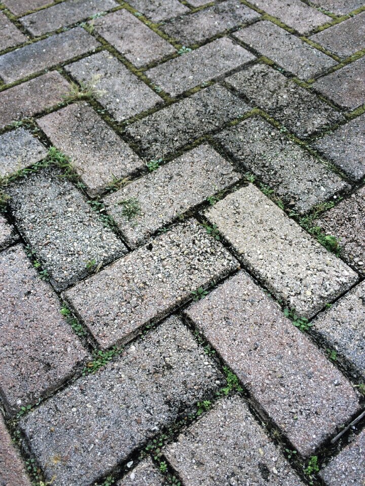 Pattern sidewalk paver